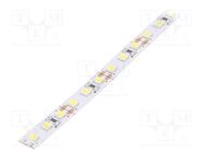 LED tape; white cold; 2835; 12V; LED/m: 120; 8mm; IP20; 120°; 9.6W/m LEDDEX