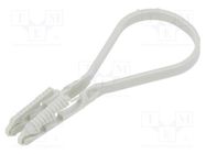 Cable strap clip; ØBundle : 8÷28mm; W: 4mm; polyamide; light grey 