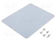 Mounting plate; steel 