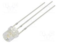 LED; 5mm; blue/yellow; 140°; Front: flat; 2.1÷2.6/2.9÷3.6VDC; round OPTOSUPPLY