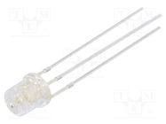 LED; 5mm; red/blue; 140°; Front: flat; 2.1÷2.6/2.9÷3.6V; -30÷85°C 