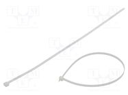 Cable tie; L: 600mm; W: 9mm; polyamide; 778N; natural; Ømax: 175mm FIX&FASTEN