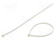 Cable tie; L: 650mm; W: 12.5mm; polyamide; 1112N; natural FIX&FASTEN