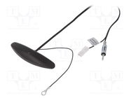 Antenna; inner; AM,FM; universal,with amplifier; 0.25m; black 