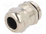 Cable gland; PG13,5; IP68; brass; HSK-M-Ex HUMMEL