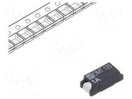 Fuse: fuse; 1A; 125VAC; 125VDC; time-lag; 7.4x3.1mm; SMD; OMT 125 SCHURTER