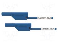 Test lead; 16A; banana plug 4mm,both sides; Urated: 1kV; Len: 2m SCHÜTZINGER