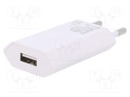 Power supply: switching; mains,plug; 5VDC; 5W; Plug: EU; Out: USB Goobay