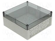 Enclosure: junction box; X: 300mm; Y: 300mm; Z: 132mm; polystyrene SPELSBERG