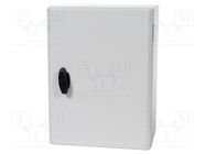 Enclosure: wall mounting; X: 300mm; Y: 400mm; Z: 200mm; S3DEX; steel SCHNEIDER ELECTRIC