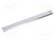 Profiles for LED modules; natural; L: 1m; BEGTIN12; aluminium TOPMET