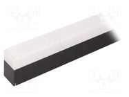 Profiles for LED modules; white; black; L: 2m; LINEA20; aluminium TOPMET