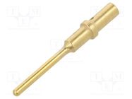 Contact; male; 20; gold-plated; 20AWG; turned contacts; bulk 