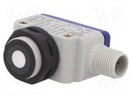 Sensor: ultrasonic; angular; Range: 40÷300mm; Usup: 10÷30VDC; 100mA 