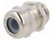 Cable gland; M20; IP68; brass; SKINTOP® MSR-M ATEX LAPP