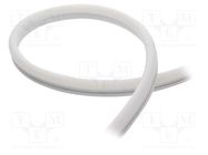 NEON LED tape; white warm; LED/m: 120; 10mm; IP65; 9.6W/m; Thk: 23mm WISVA OPTOELECTRONICS