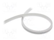 NEON LED tape; white neutral; 24V; LED/m: 120; 10mm; IP65; 9.6W/m WISVA OPTOELECTRONICS