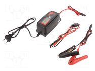 Charger: for rechargeable batteries; GEL,acid-lead,Li-FePO4 Everpower