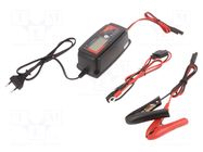 Charger: for rechargeable batteries; GEL,acid-lead,Li-FePO4 Everpower
