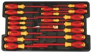 SCREWDRIVER SET, MULTI BLADE, 19 PIECES