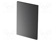 Front panel; Panel colour: black; UL94V-0 