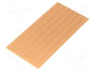 Board: universal; single sided,prototyping; W: 100mm; L: 50mm RADEMACHER