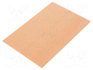 Board: universal; single sided,prototyping; W: 100mm; L: 150mm RADEMACHER