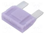Fuse: fuse; 100A; 32VDC; automotive; 29mm; MAXI; tin alloy ESKA