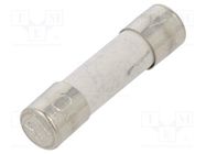 Fuse: fuse; time-lag; 160mA; 250VAC; ceramic,cylindrical; 5x20mm ESKA