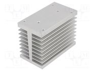 Heatsink: extruded; H; grey; L: 90mm; W: 50mm; H: 69mm; aluminium RELPOL