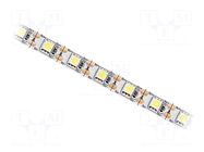 LED tape; white neutral; 5050; LED/m: 60; 10mm; white PCB; IP20 IPIXEL LED