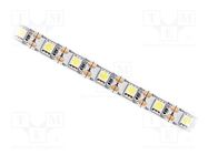 LED tape; white cold; 5050; LED/m: 60; 10mm; white PCB; IP20; 120° IPIXEL LED