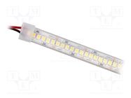 LED tape; white neutral; 2835; LED/m: 120; 10mm; white PCB; IP65 IPIXEL LED