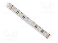 LED tape; RGBW; 5050; LED/m: 60; 12mm; white PCB; IP20; 120°; 12W/m IPIXEL LED