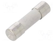 Fuse: fuse; 250mA; 250VAC; time-lag; ceramic,cylindrical; 5x20mm ESKA