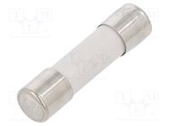 Fuse: fuse; time-lag; 500mA; 250VAC; ceramic,cylindrical; 5x20mm ESKA