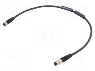 Cable: for sensors/automation; straight; 0.3m; 60VDC; 60VAC; 4A BALLUFF