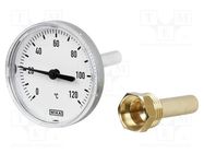 Meter: temperature; analogue,bimetal; 0÷120°C; Probe l: 160mm WIKA