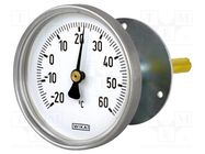 Meter: temperature; analogue,bimetal; -20÷60°C; Probe l: 100mm WIKA