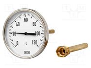 Meter: temperature; analogue,bimetal; 0÷120°C; Probe l: 100mm WIKA