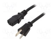 Cable; 3x18AWG; IEC C13 female,NEMA 5-15 (B) plug; PVC; 2.5m 