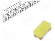 LED; white; SMD; 0402; 450÷600(typ)-750mcd; 7500K; 130°; 20mA FORYARD