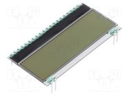 Display: LCD; alphanumeric; FSTN Positive; 16x3; white; 55x27.94mm DISPLAY VISIONS