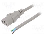 Cable; 3x1mm2; IEC C13 female,wires; PVC; 5m; grey; 10A; 250V 