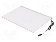 Lamp: LED light panel; 4000K; Lumaire Basic; Mat: plexiglass PMMA LEDDEX