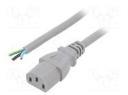 Cable; 3x1mm2; IEC C13 female,wires; PVC; 3m; grey; 10A; 250V 