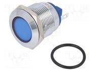 Indicator: LED; flat; blue; 24VDC; 24VAC; Ø19mm; brass; Body: silver NINIGI