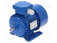 Motor: AC; 3-phase; 0.25kW; 230/400VAC; 1390rpm; IP54; -30÷60°C 