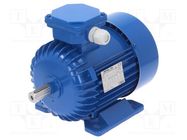 Motor: AC; 3-phase; 0.55kW; 230/400VAC; 1400rpm; IP54; -30÷60°C 