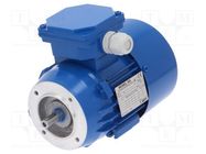 Motor: AC; 3-phase; 0.25kW; 230/400VAC; 2780rpm; IP54; -30÷60°C 